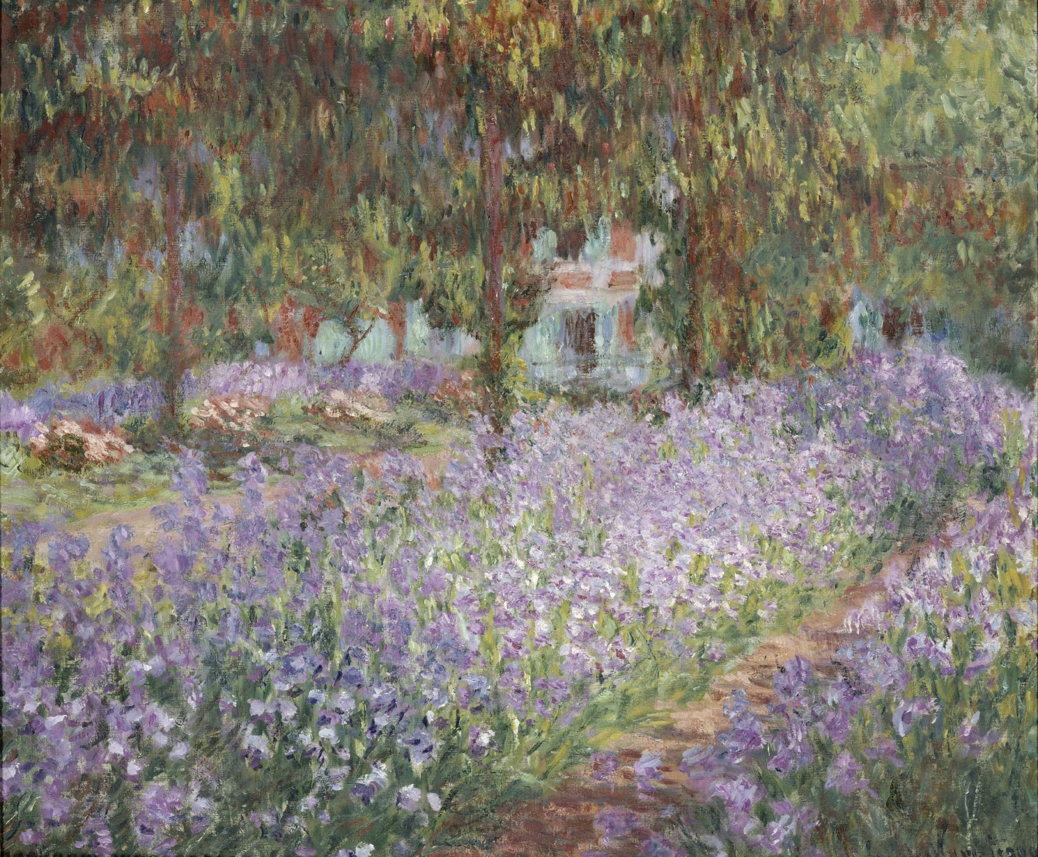 Калерия jardin de monet фото и описание